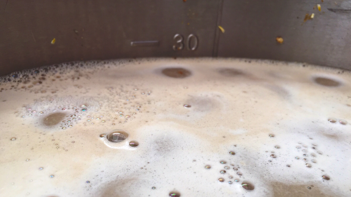 29l vørter til koking